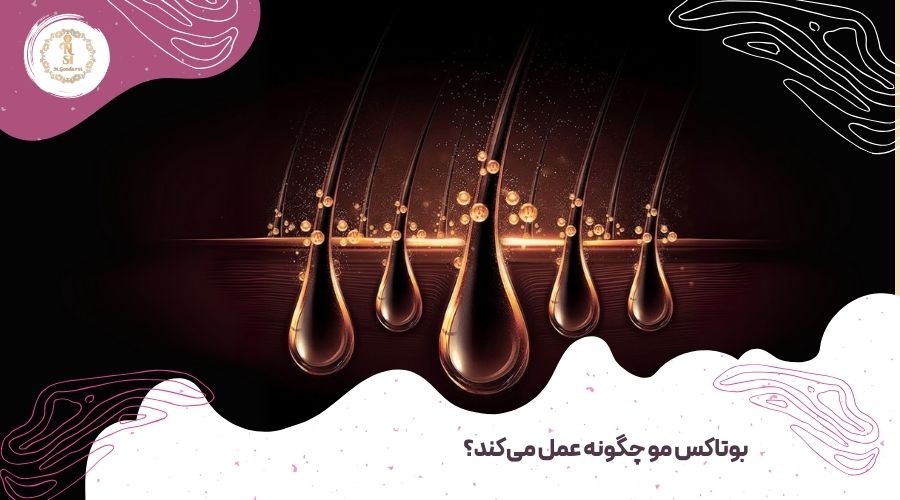 ماندگاری بوتاکس مو چقدر است؟ – راهنمای کامل 1 بوتاکس مو چگونه عمل می کند؟
