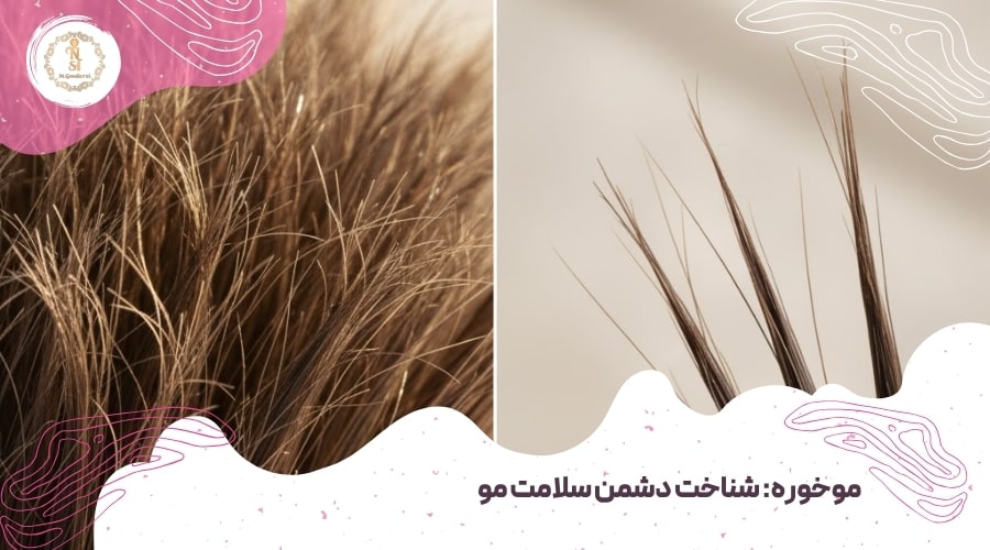 موخوره گیری چیست؟ {موخوره گیری بدون کوتاهی مو} 1 موخوره: شناخت دشمن سلامت مو