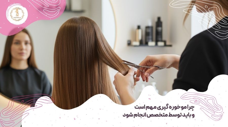 موخوره گیری چیست؟ {موخوره گیری بدون کوتاهی مو} 5 چرا موخوره گیری مهم است ؟